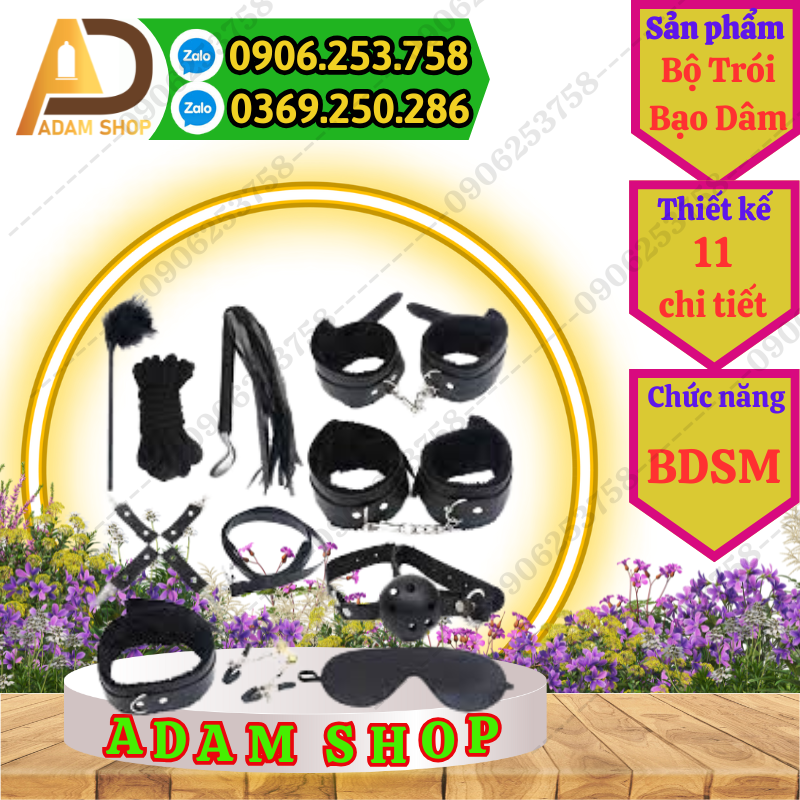 Bộ Dụng Cụ Bạo Dâm thumb