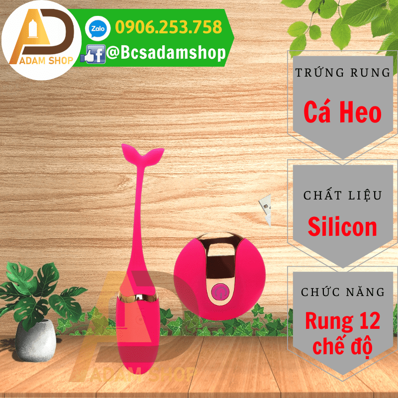 Trứng Rung Cá Heo