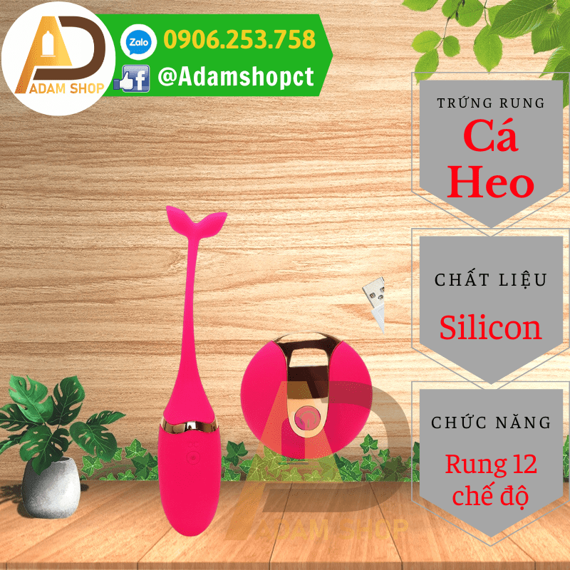 Trứng Rung Cá Heo